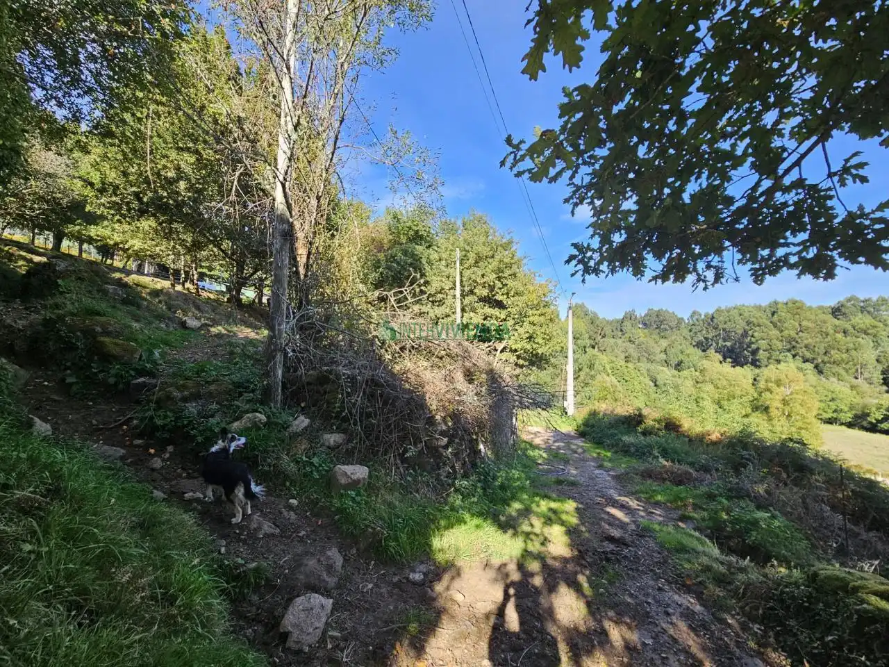 Casa o chalet en venta en A Cañiza   con Calefacción y Jardín privado