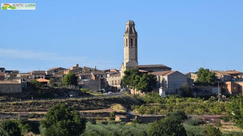 Foto 4 von Geschaftsraum zum Verkauf in Sant Martí de Riucorb, Lleida