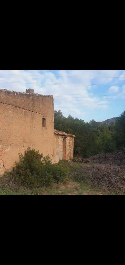 Exterior view of Houses for sale in Benifallet