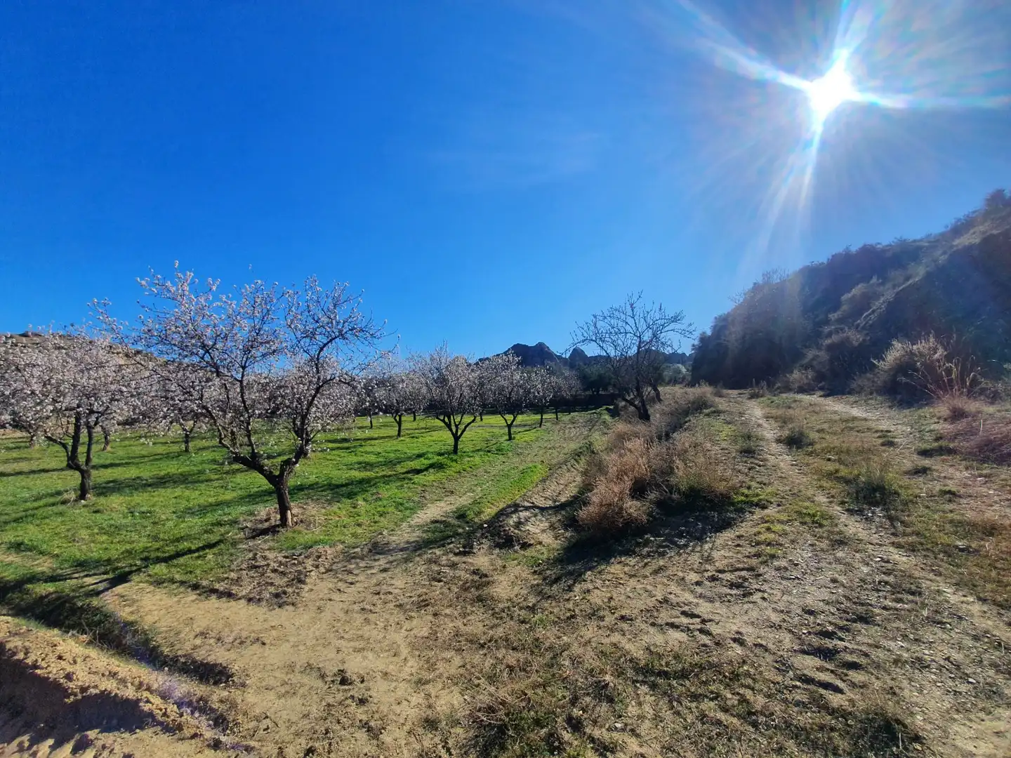 Terreni e lotti in vendita a Guadix, imagen 2
