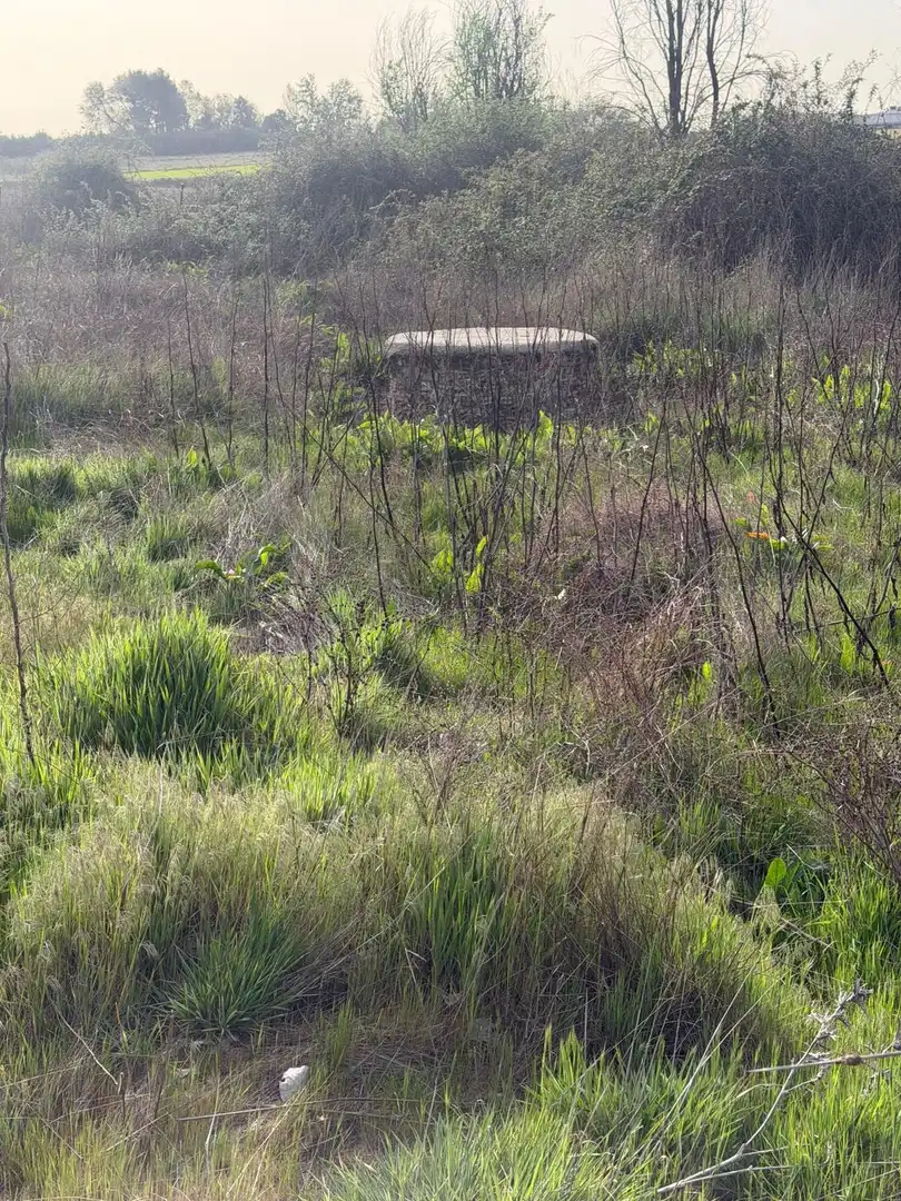Finca rústica en venda a Norte - Universidad