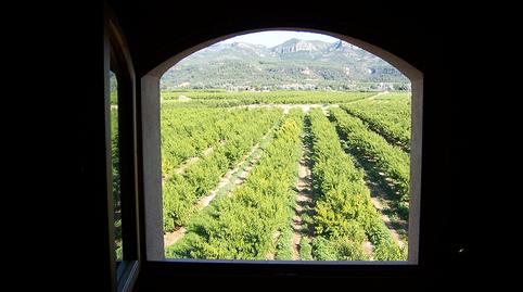 Foto 2 de Edifici en venda a Carrer de Móra, Benissanet, Tarragona