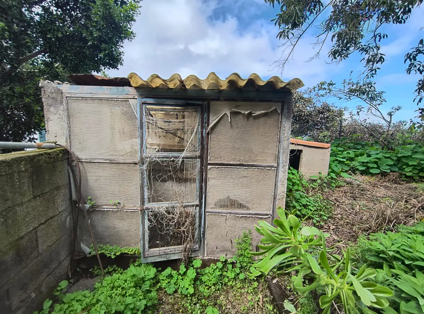 Exterior view of Houses for sale in La Orotava  with Private garden, Terrace and Storage room