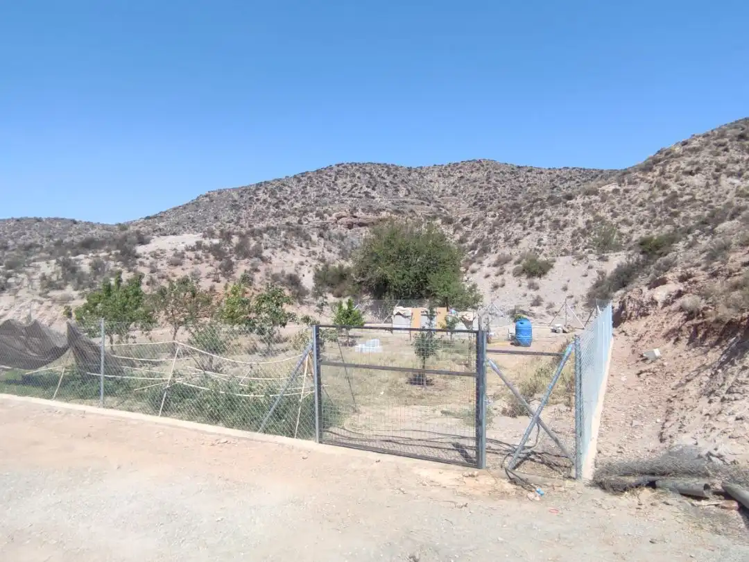 House with garden for sale in Camino Aljambra 0, imagen 4