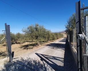 Industrial land for sale in Alhaurín El Grande