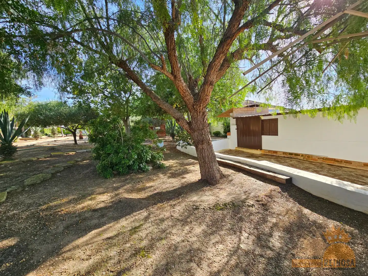 Jardí de Casa o xalet en venda en Molina de Segura amb Aire condicionat, Calefacció i Jardí privat