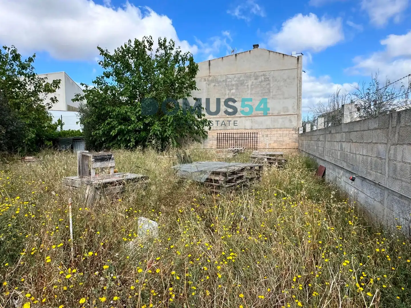 Rustikales Grundstück zum Verkauf in Sa Pobla, imagen 6