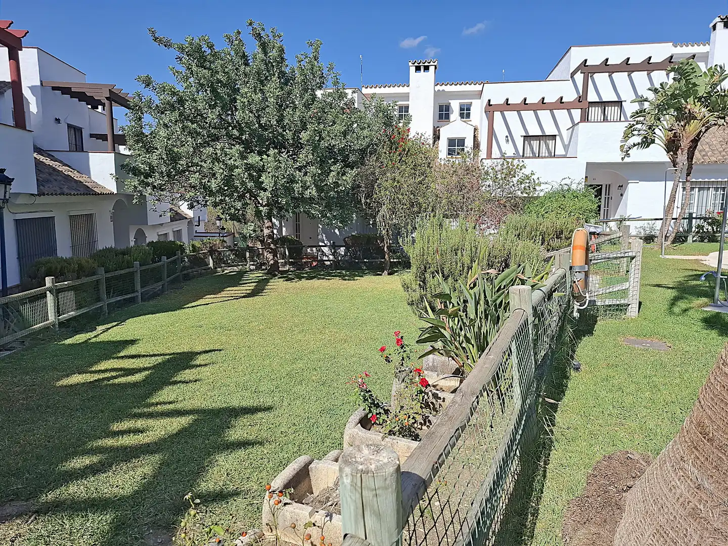 House with terrace for sale in Benalup-Casas Viejas, imagen 3