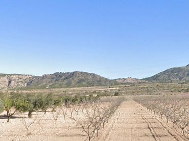 Terreno rustico in vendita a Diseminado Encebras 12