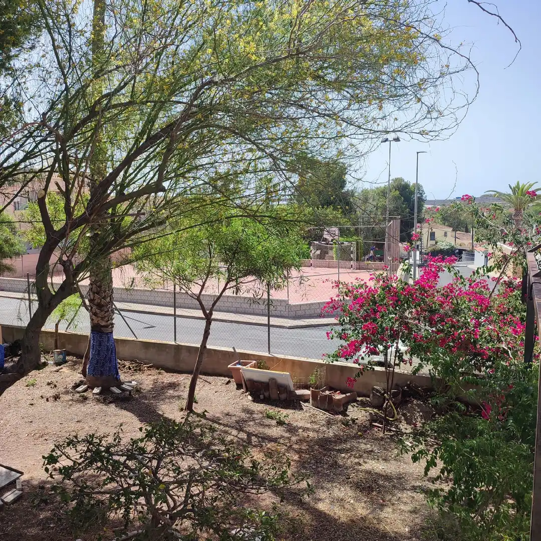 Vista exterior de Finca rústica en venda en Algorfa amb Jardí privat