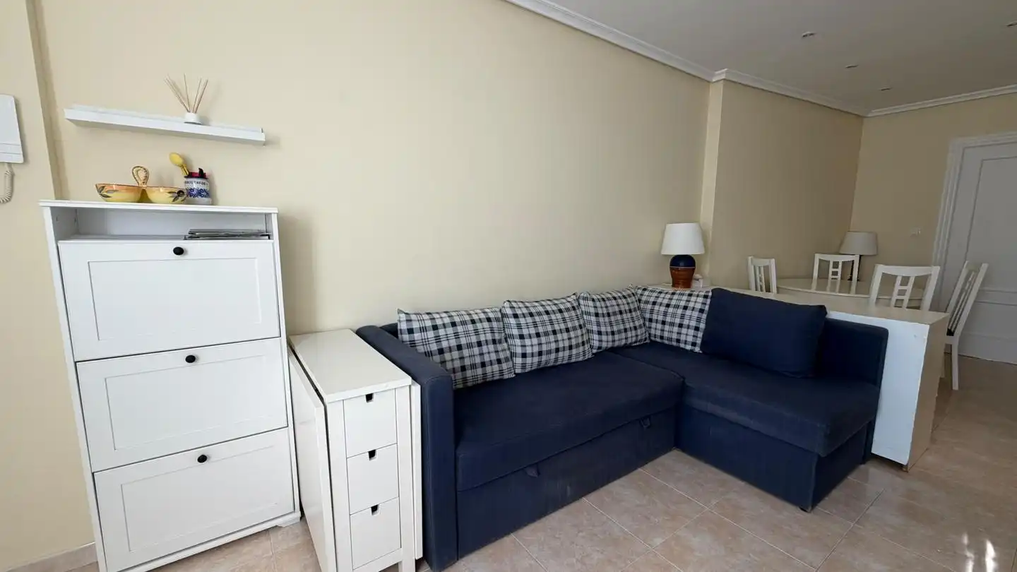 Rez-de-chaussée avec piscine à vendre à Zona Playa, imagen 5