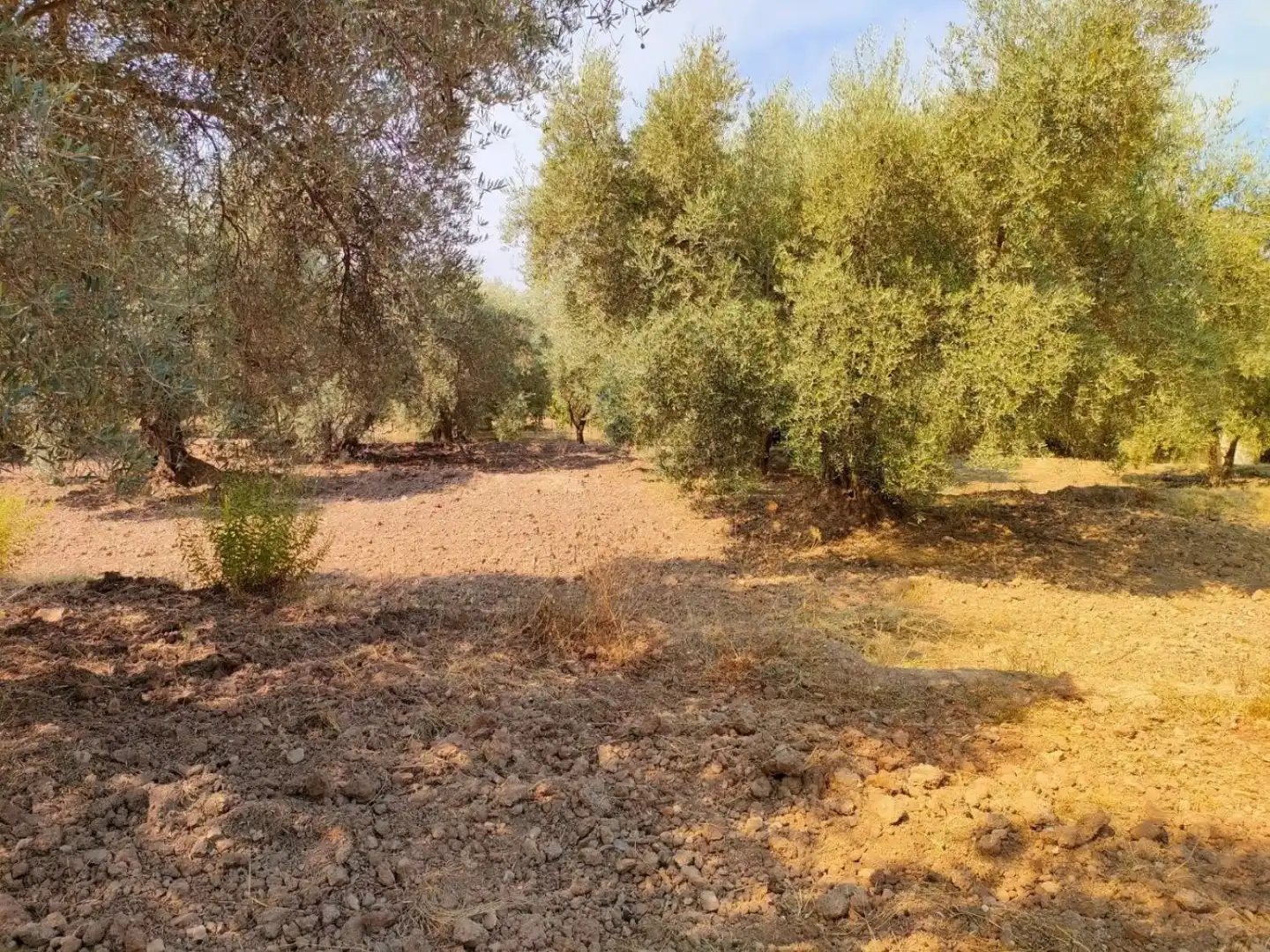Grundstücke und Bauplätze zum Verkauf in Ugíjar, imagen 8