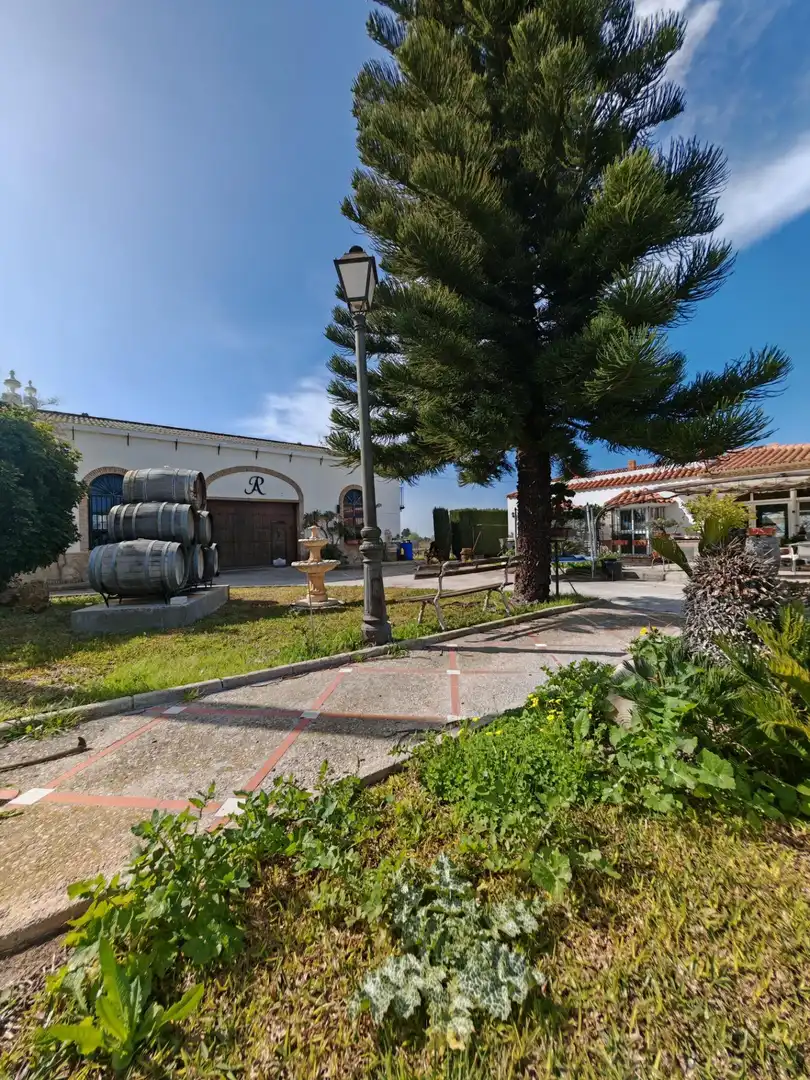 Xalet amb terrassa en venda a Ctra Sanlúcar - Cuatro Pinos, imagen 70