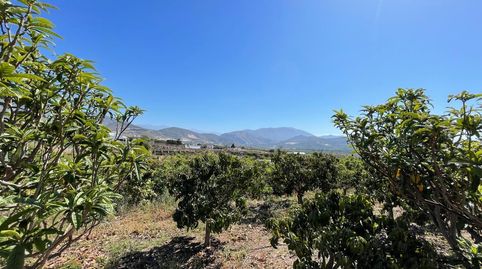 SalobreñaFinca Rustica, imagen 4