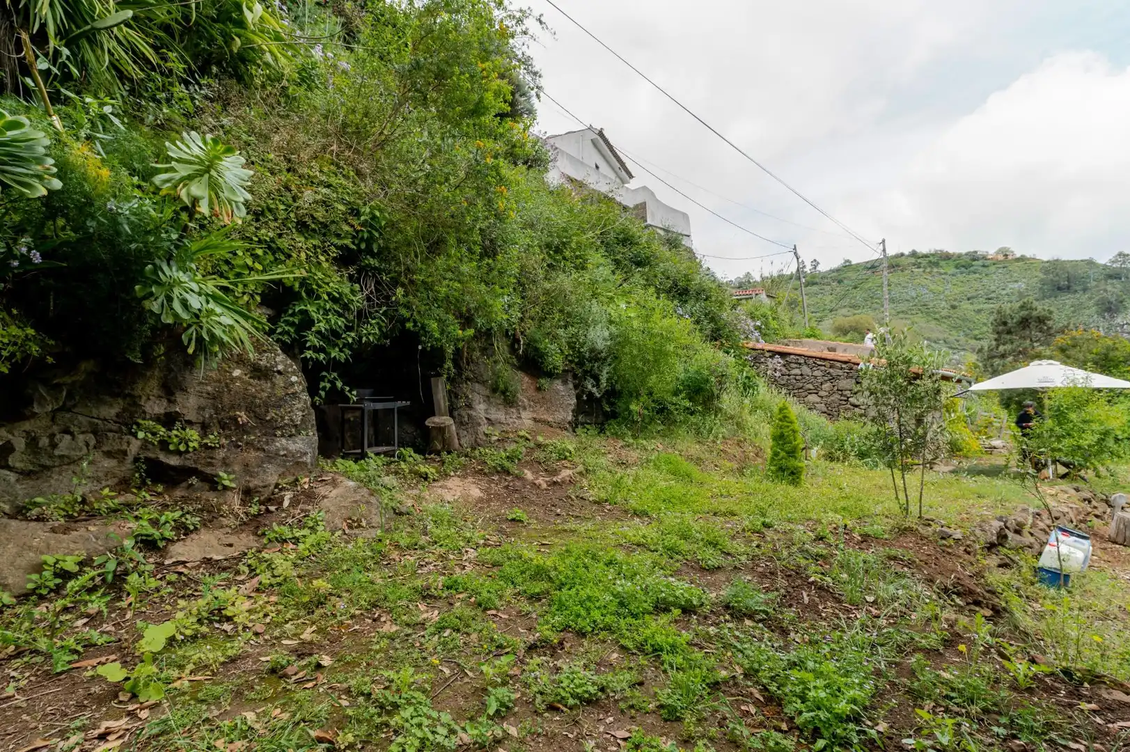 Land for sale in Teror
