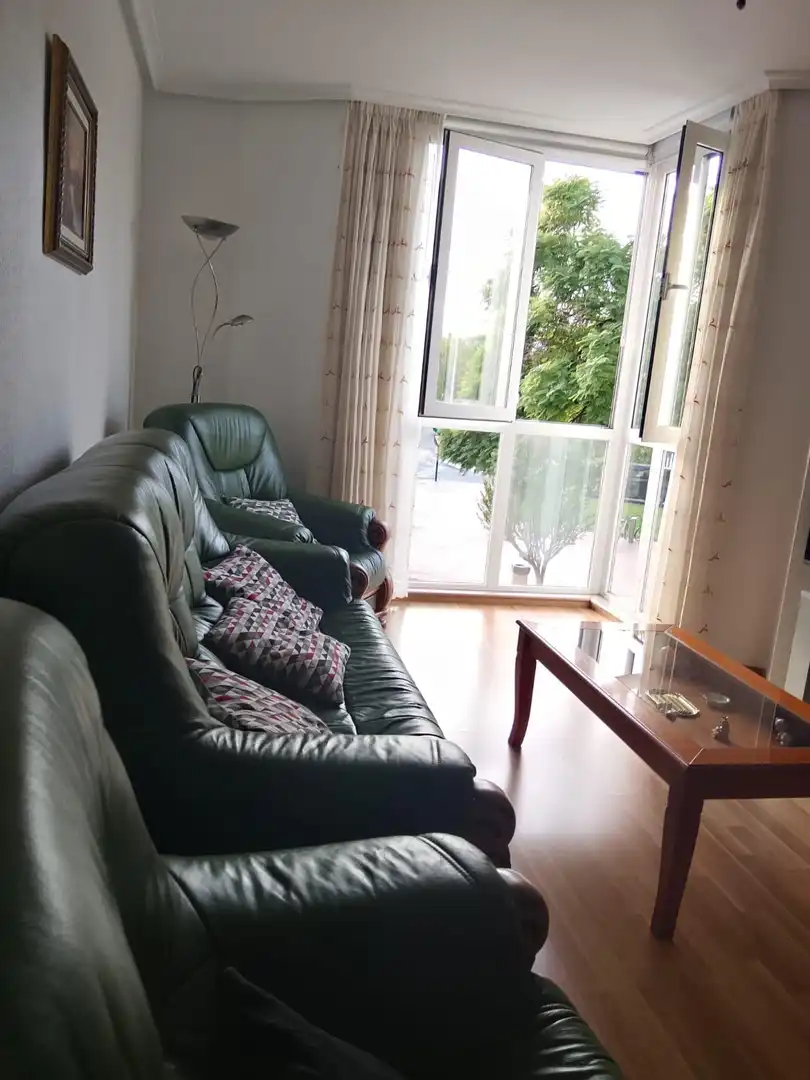 Sala d'estar de Pis en venda en Elche ciudad