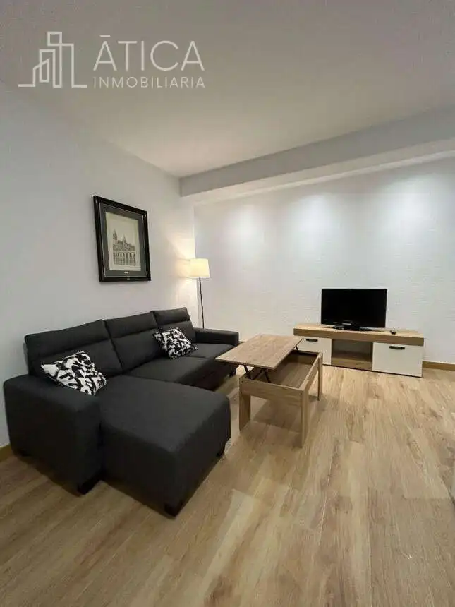 Sala d'estar de Pis de lloguer en Salamanca amb Calefacció i Moblat