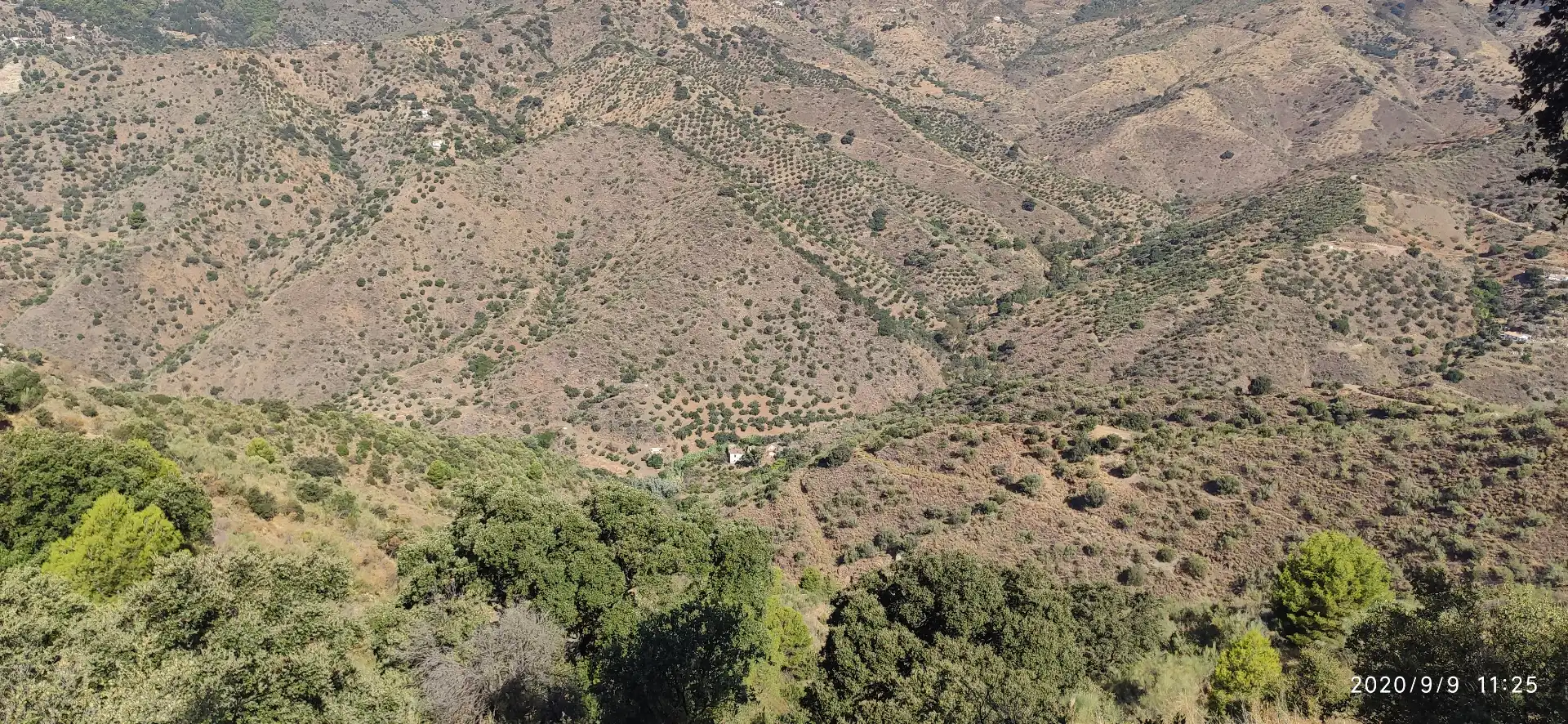Terreno rustico in vendita a Monda, imagen 4