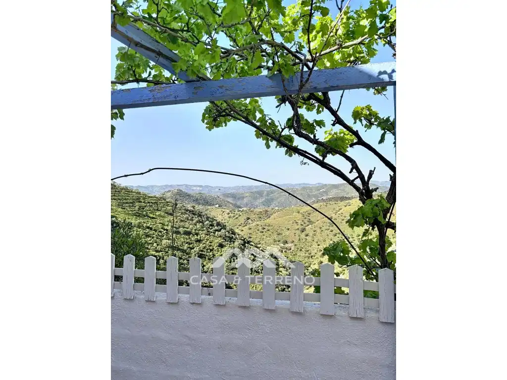 Jardí de Casa o xalet en venda en Canillas de Aceituno amb Jardí privat, Terrassa i Piscina