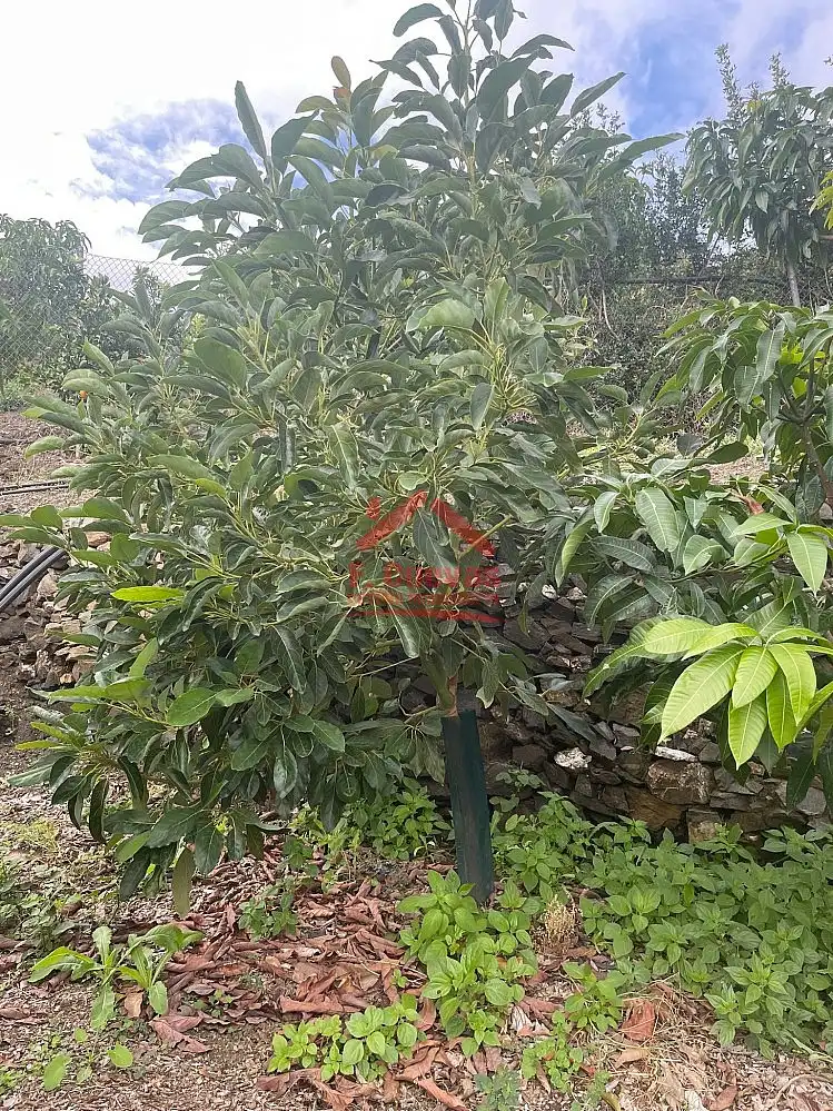 Country homes for sale in Sayalonga  with Air Conditioner, Heating and Terrace