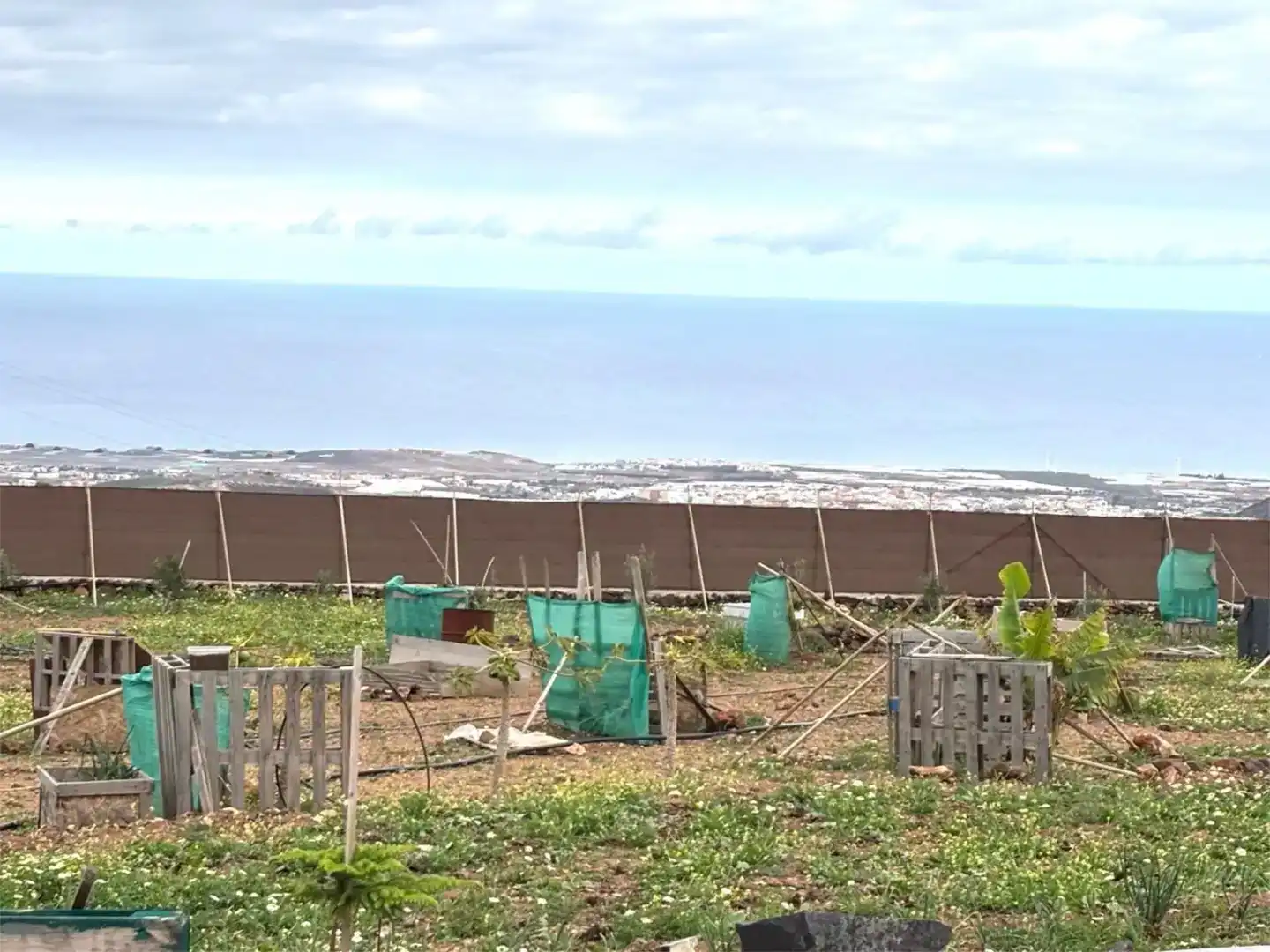 Finca rústica en venda en Ingenio