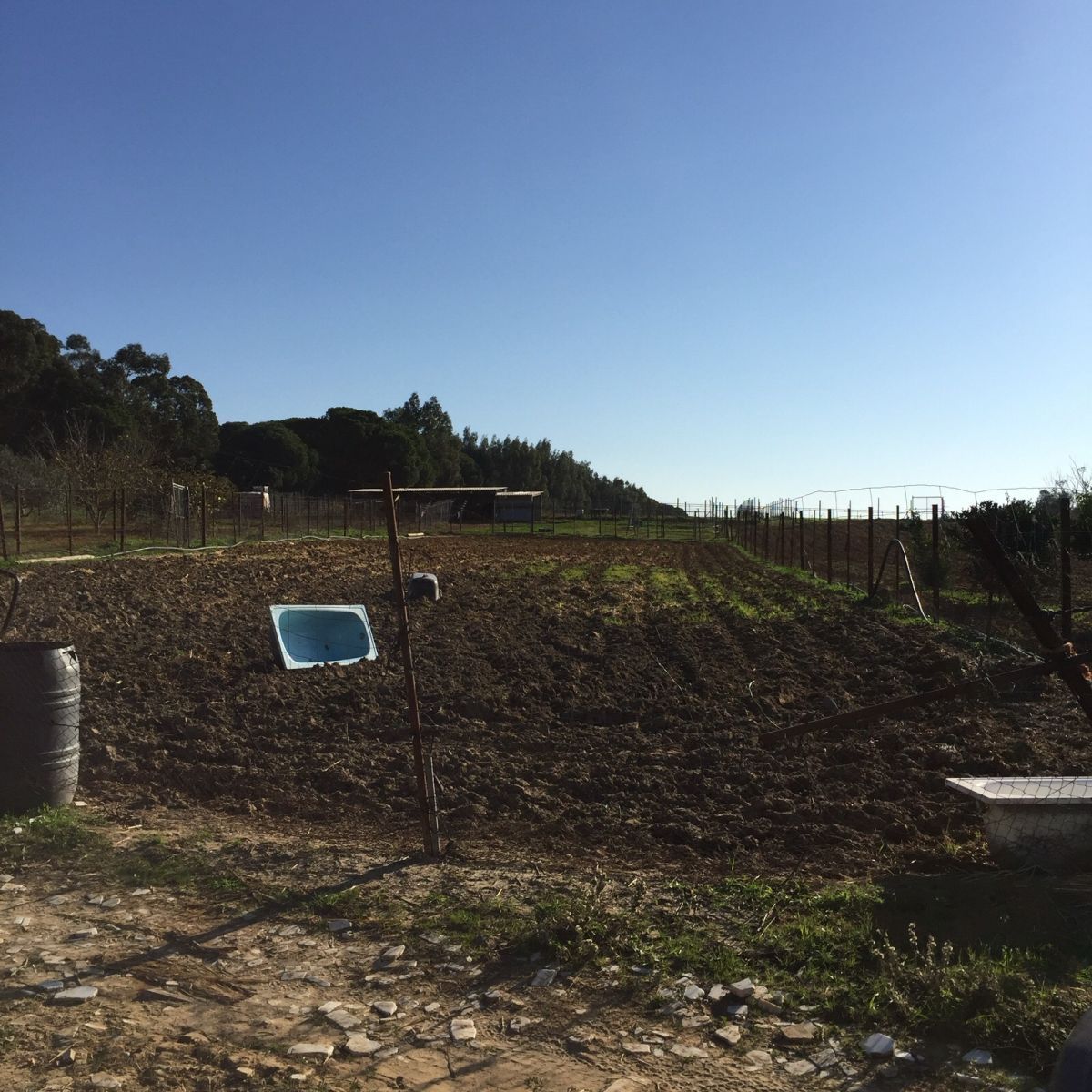 Finca rústica en venda en Villarrasa