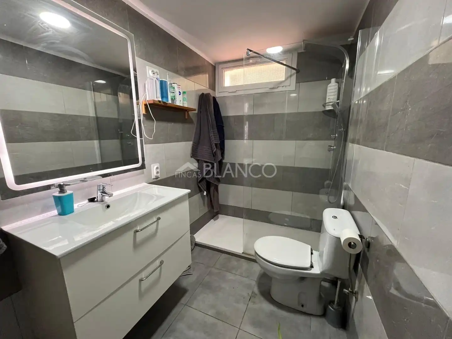 Bany de Casa o xalet en venda en Piera