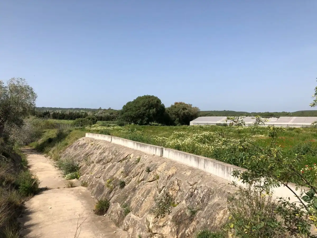 Terreni e lotti in vendita a Barbate ciudad, imagen 32