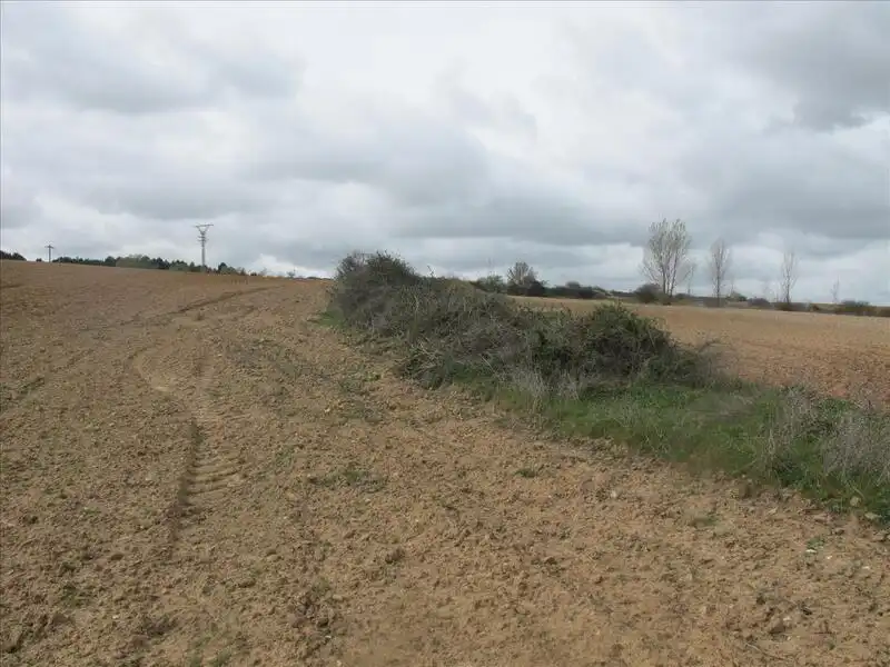 Residential land for sale in 34 PARCELA, imagen 6