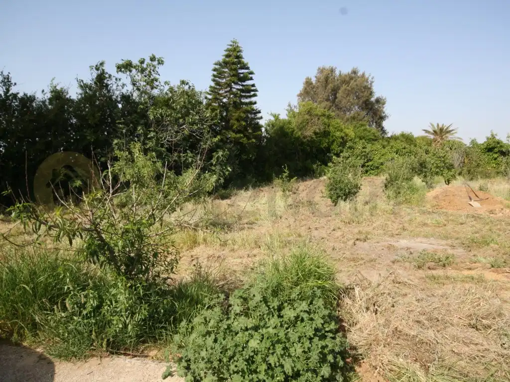 Casa o chalet en venta en Chipiona