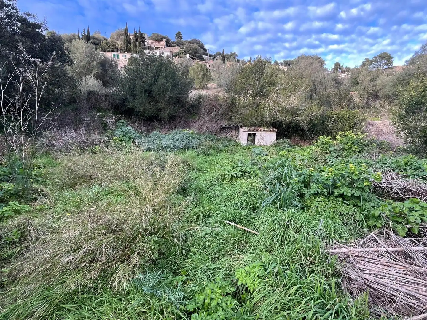 Terreny residencial en venda a Puigpunyent, imagen 3
