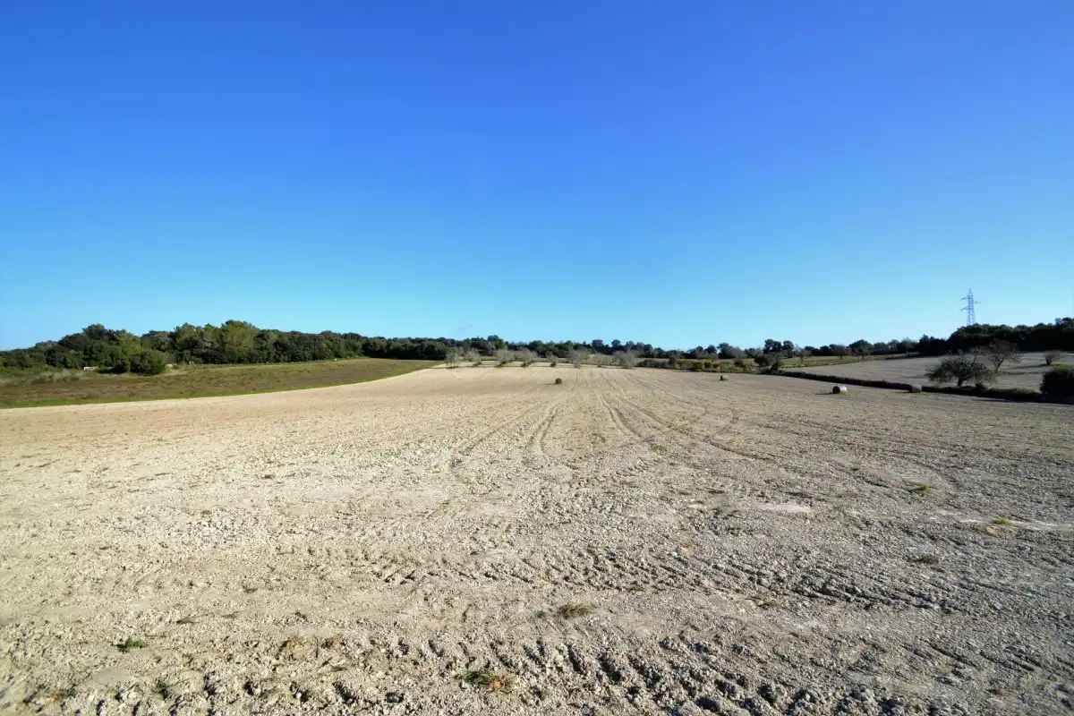 Casa rústica en venta en Llubí, imagen 18