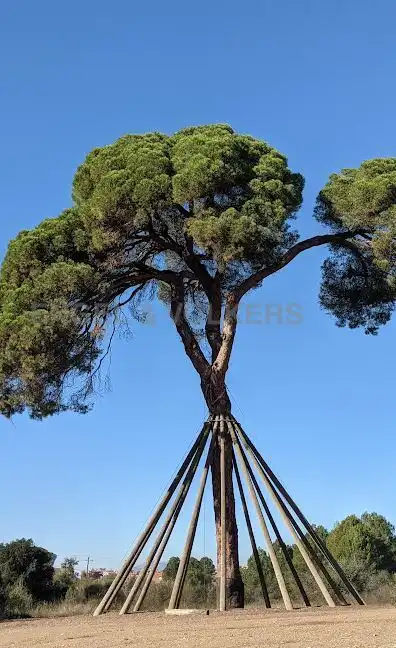 Garten von Gebäude zum Verkauf in Sant Cugat del Vallès