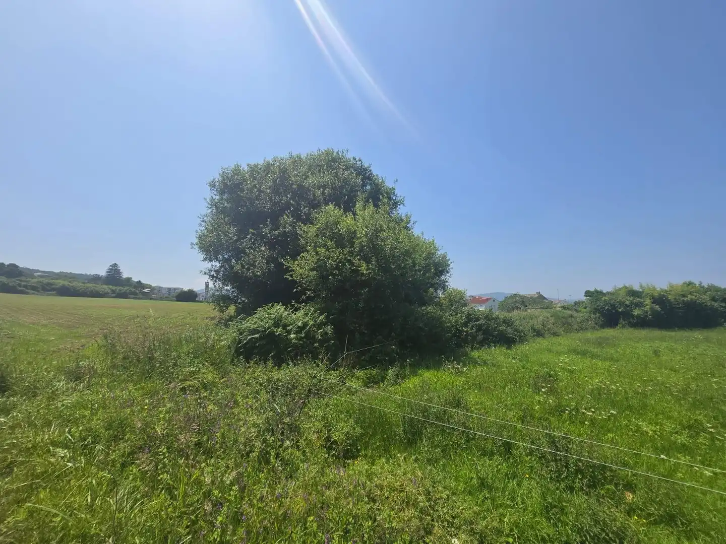 Rural land for sale in Calle PARROQUIA DE SAN COSME - VEIGUIÑA Nº 56, imagen 17