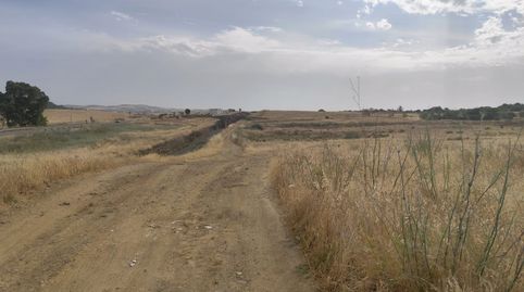 PARCELA RUSTICA A 3 KM DE ZAFRA, DIRECCION A ALCONERAÇ, immagine 4