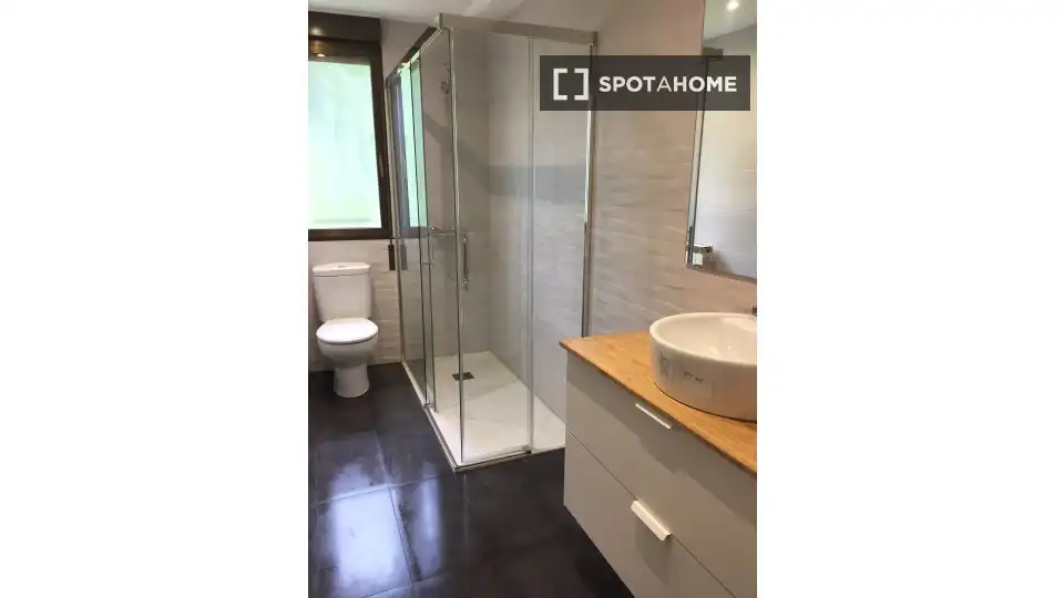 Room in Egia