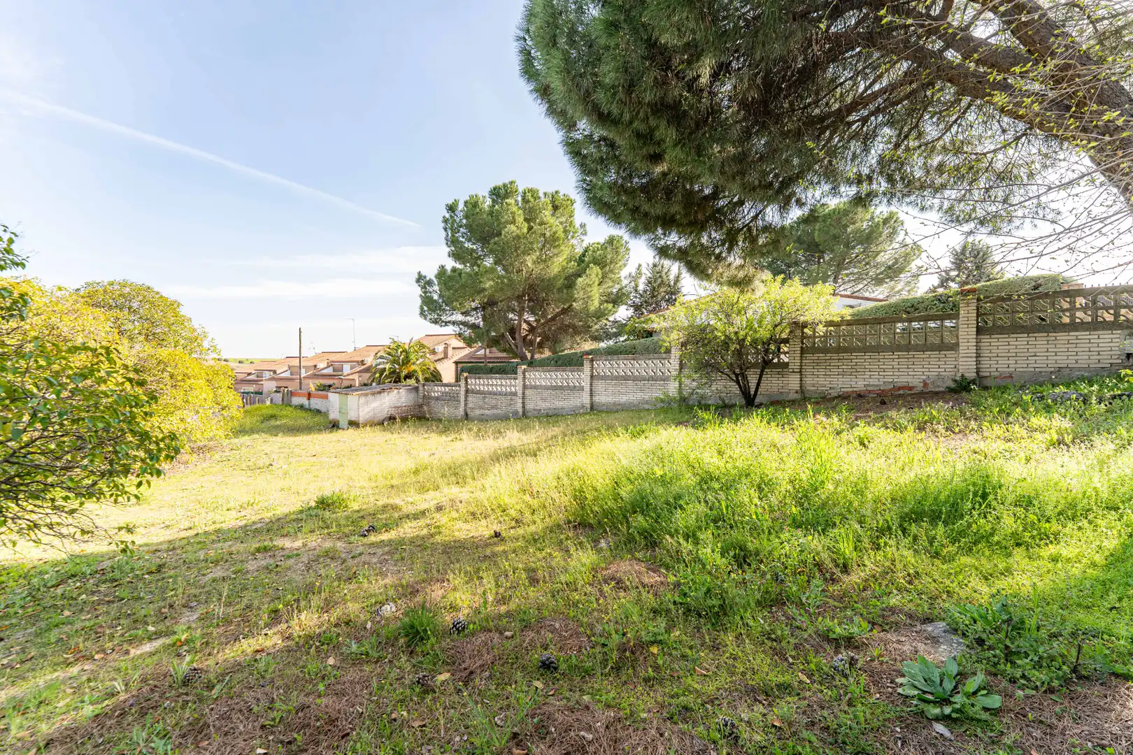 Residential land for sale in Calle de los Olivos, imagen 4
