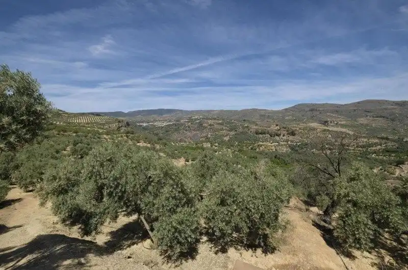 Terreno rustico in vendita a El Valle, imagen 16