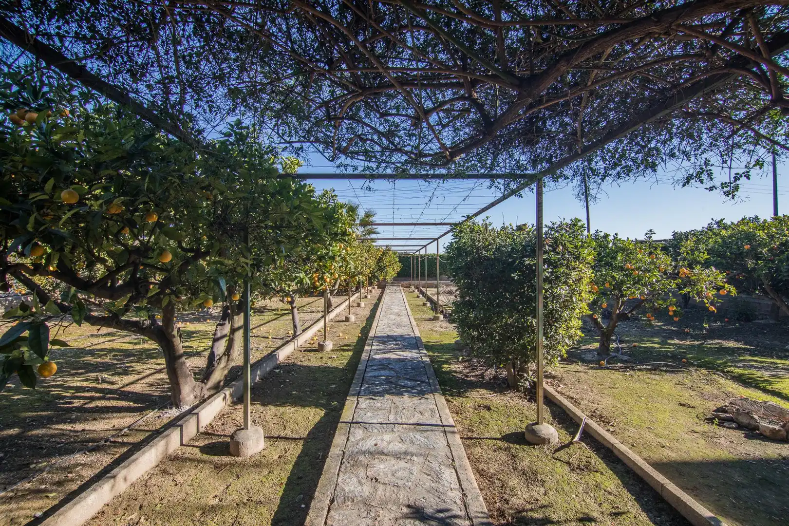 Garden of Houses for sale in Elche / Elx  with Private garden, Storage room and Swimming Pool
