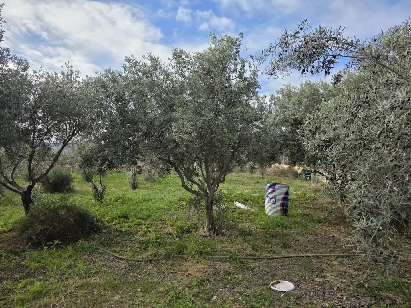 Terreno en venta en Alicante / Alacant