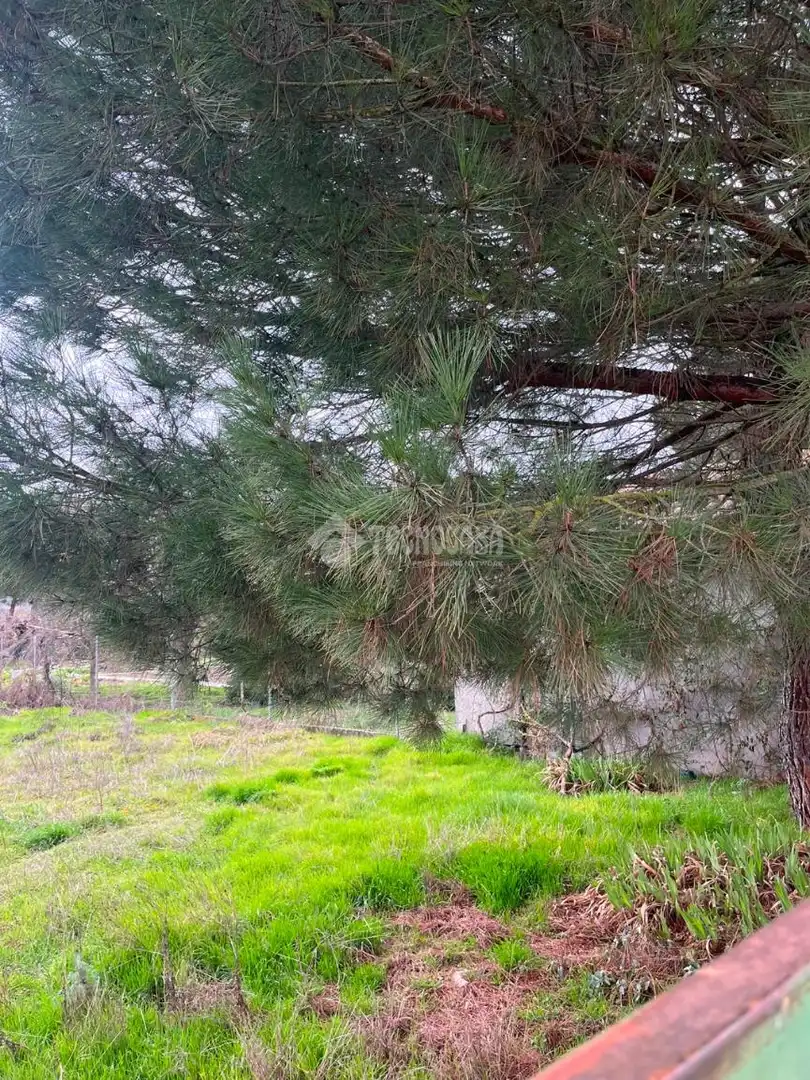 Terreno residenziale in vendita a Tudela de Duero, imagen 3