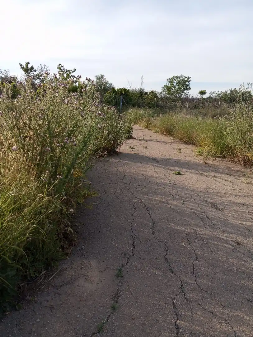 Vista exterior de Terreno en venta en Murcia