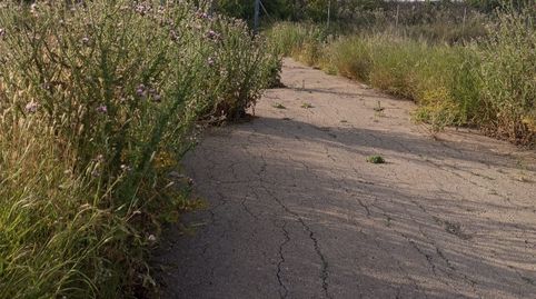 Photo 2 of Land for sale in Sangonera la Seca, Murcia Capital