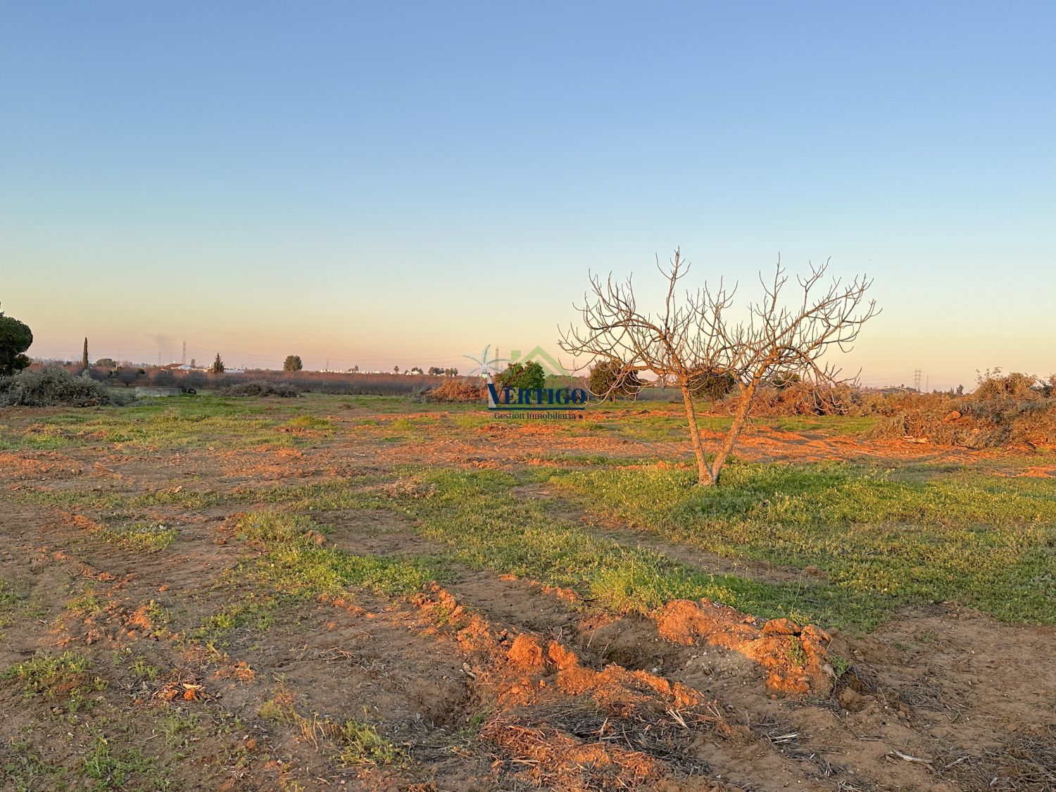Country house for sale in Alcalá de Guadaira