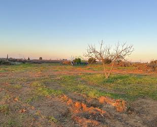 Country house for sale in Alcalá de Guadaira
