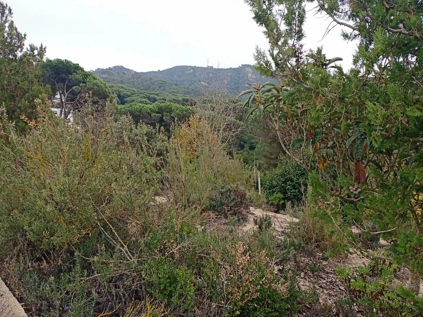 Terrenos y solares en venta en Vilanova del Vallès, imagen 7