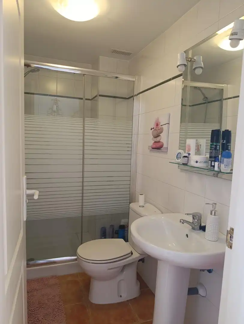 Baño de Casa o chalet en venta en Cuevas del Almanzora con Aire acondicionado, Calefacción y Jardín privado