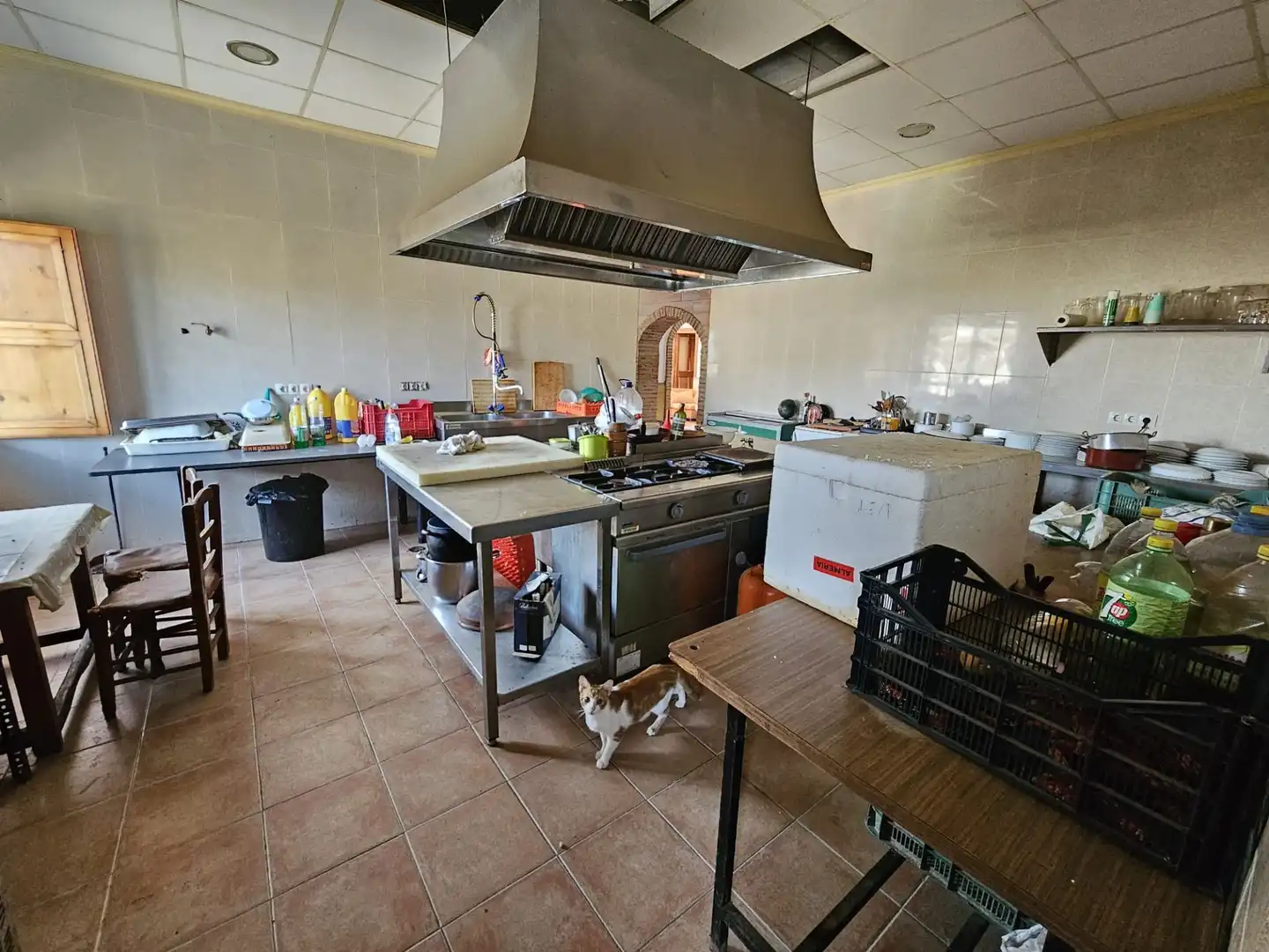 Local comercial en venda a A348 A ALBUÑOL, imagen 10