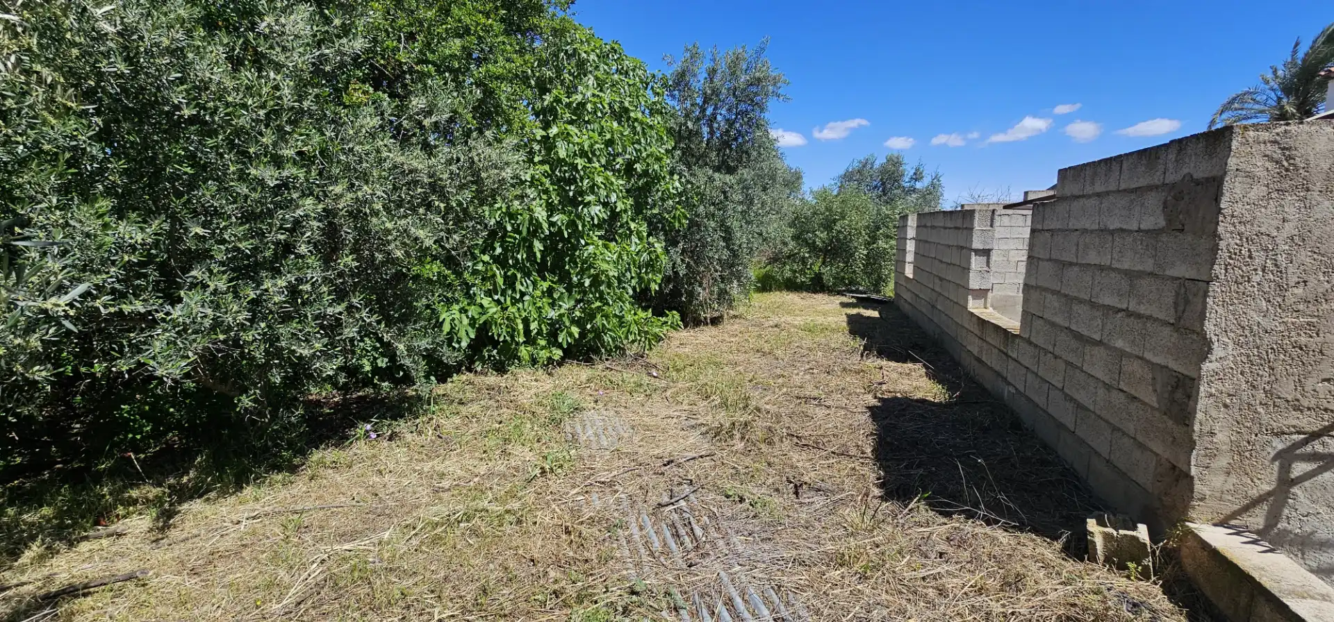 Casa adosada en venta en Totana con Jardín privado, Terraza y Trastero