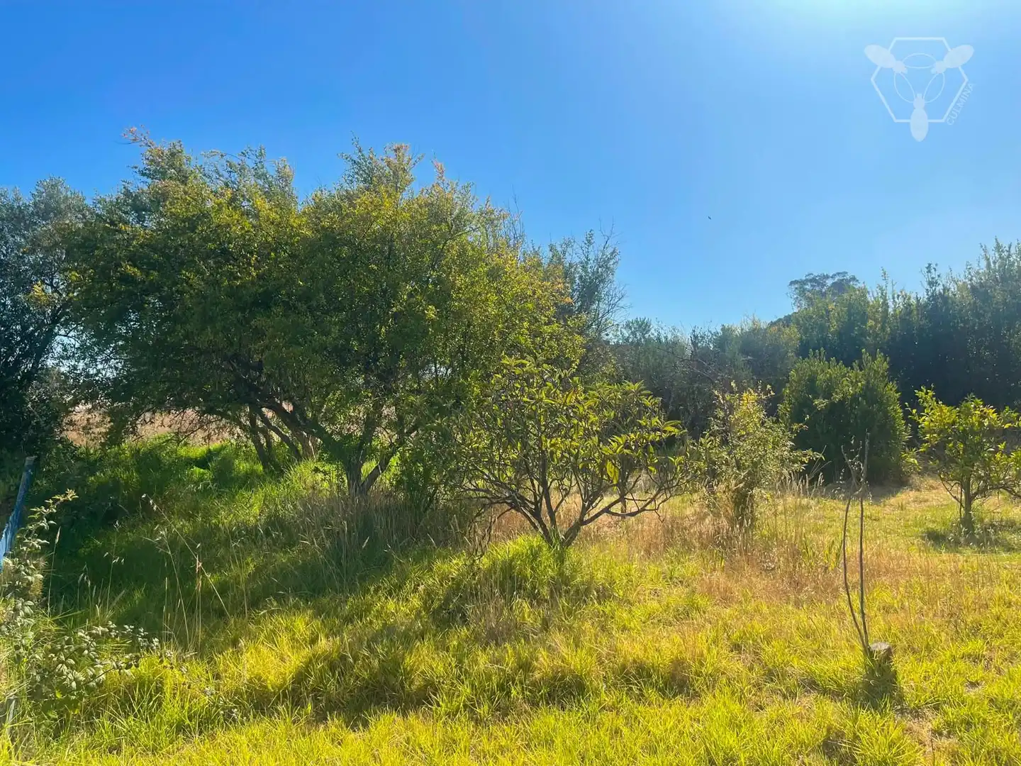 Chalet en venta en Bonares, imagen 16
